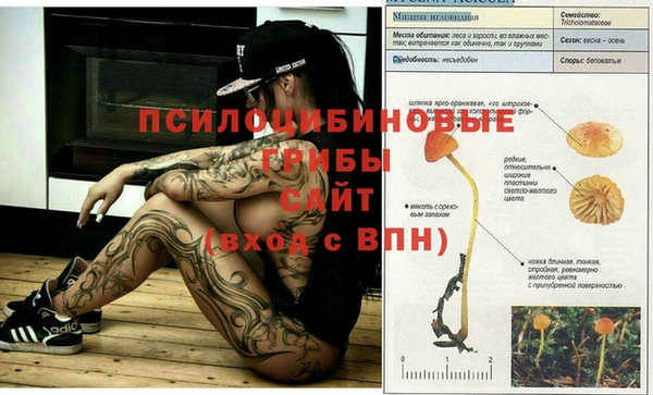spice Абдулино