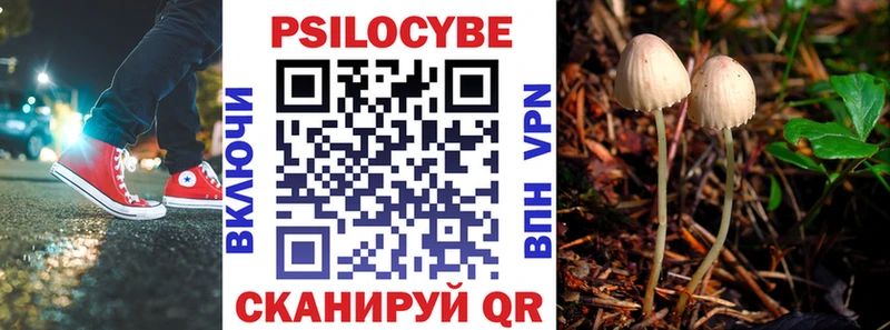 Псилоцибиновые грибы MAGIC MUSHROOMS  даркнет сайт  Вышний Волочёк 