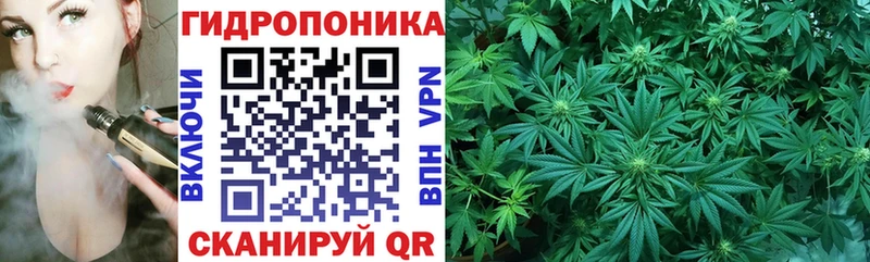 где продают наркотики  маркетплейс какой сайт  МАРИХУАНА White Widow  Вышний Волочёк 